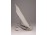 Régi Herendi porcelán tányér 20.5 cm