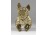 Antik angol buldog festett színezett bécsi bronz szobor 7.3 cm