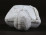 Antik Ferenc Ferdinánd biszkvit porcelán mellszobor 11 cm