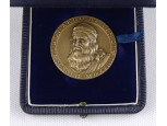 A. Motti : Leonardo da Vinci bronz emlékérem