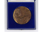 Iparművészeti bronz plakett dobozában 8.5 cm
