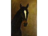 Udvarnoki Péter : Ló portré 40 cm x 30 cm