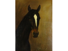 Udvarnoki Péter : Ló portré 40 cm x 30 cm