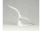 Jelzett Hollóházi porcelán sirály 15.7 cm