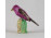 Régi Herendi mini porcelán kardinál madár figura 5.3 cm