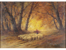 Birkapásztor lányka