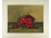 Magyar festő xx. sz. első fele : Cseresznyéstál - gyümölcs csendélet 27 x 20.5 cm
