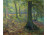 Erdőben 1909