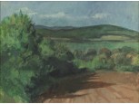 "Dunai táj" 1979