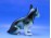 Royal Dux porcelán bulldog kutya figura